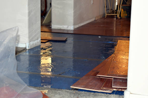 Professional Water Damage Restoration technician working in Fallston, MD